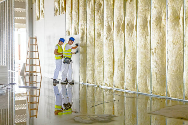 Garage Insulation Installation in Wisconsin Dells, WI